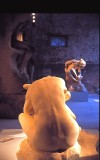 musee-desbois-nuit-800-431145