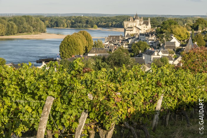 Montsoreau-depuis-les-vignes - © Sébastien Gaudart montsoreau-depuis-les-vignes